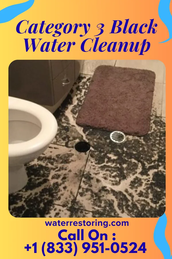 Category 3 Black Water Cleanup in Parshall, ND