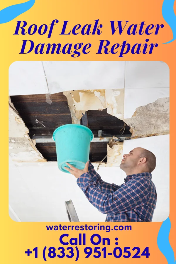 Roof Leak Water Damage Repair in Parshall, ND