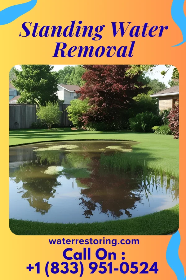 Standing Water Removal in Parshall, ND